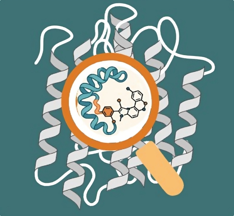 Ligand-Interaction icon
